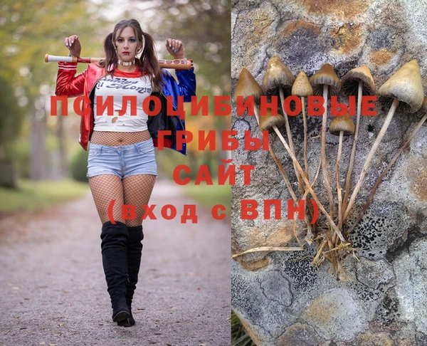 бутират Богданович