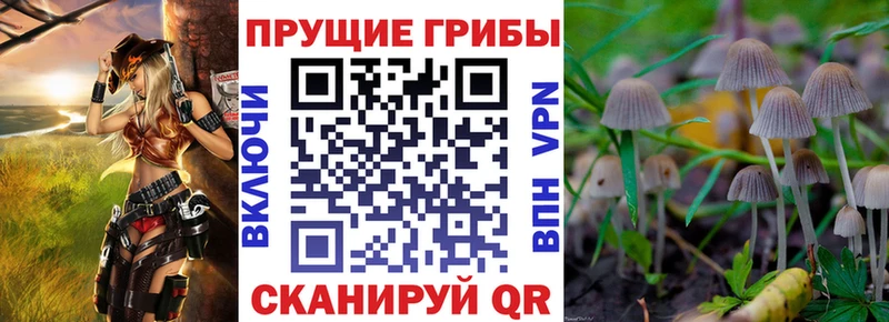 Галлюциногенные грибы прущие грибы  Озёрск 
